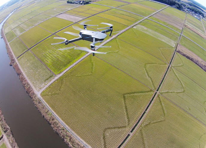 調査・測量・補償イメージ